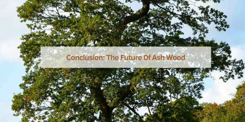 Conclusion: The Future Of Ash Wood