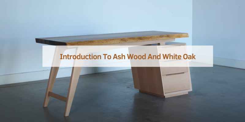 Introduction To Ash Wood And White Oak