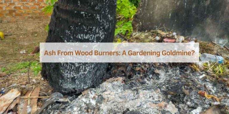 Ash from Wood Burner Garden: Boost Your Plants! – Woodworking Advisor