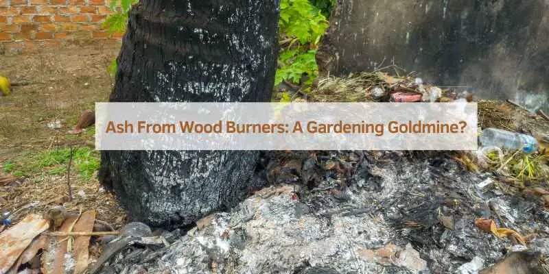 Ash From Wood Burners: A Gardening Goldmine?
