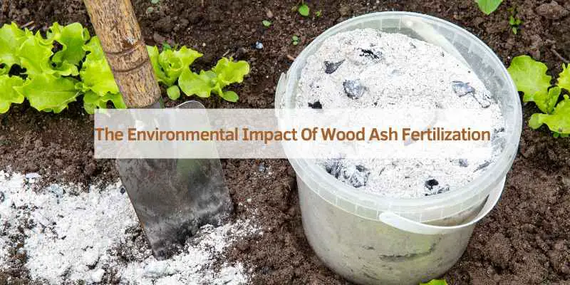 The Environmental Impact Of Wood Ash Fertilization