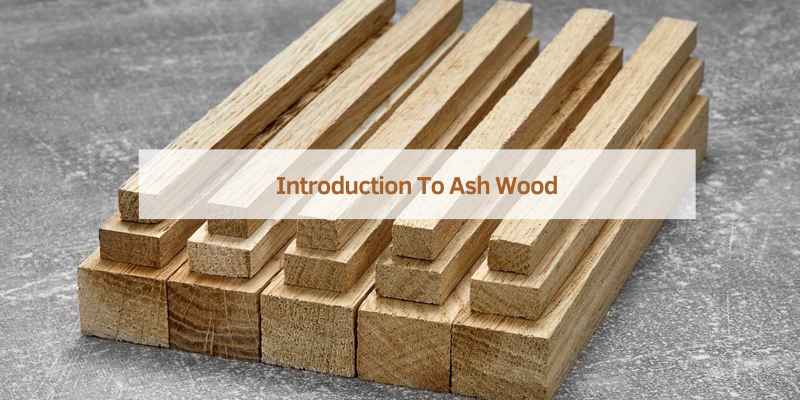 Introduction To Beech And Ash Wood