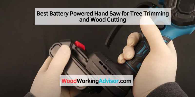 Best Battery Powered Hand Saw