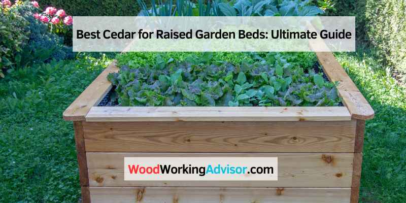Best Cedar for Raised Garden Beds