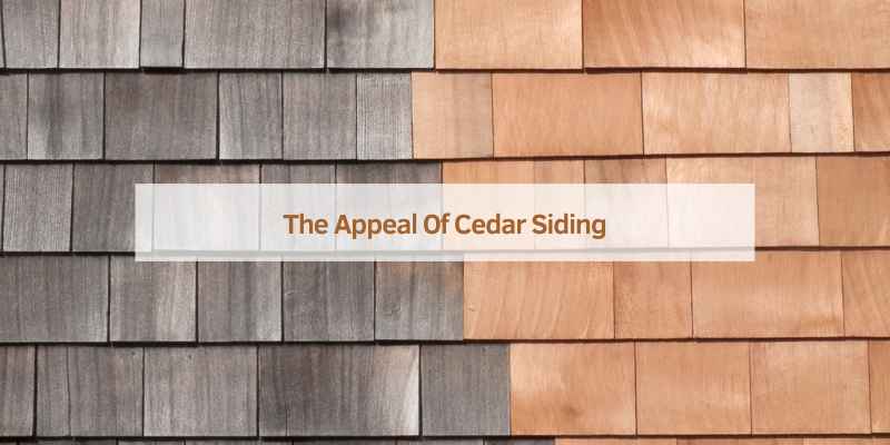 Best Way to Clean Cedar Siding