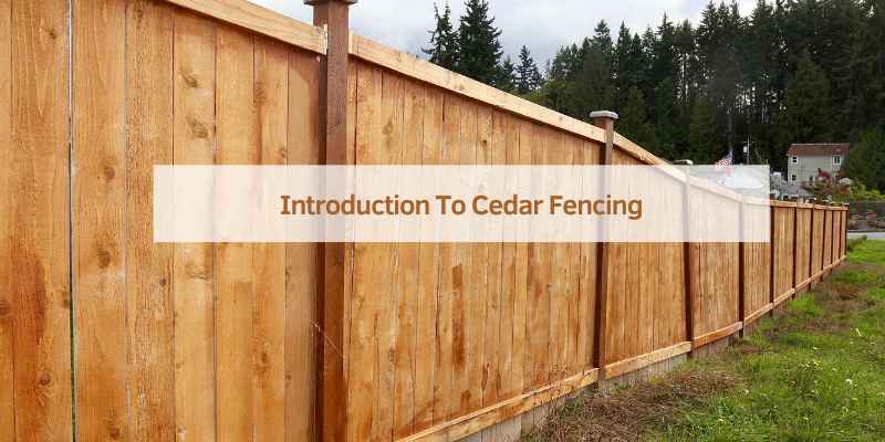 Introduction To Cedar Fencing