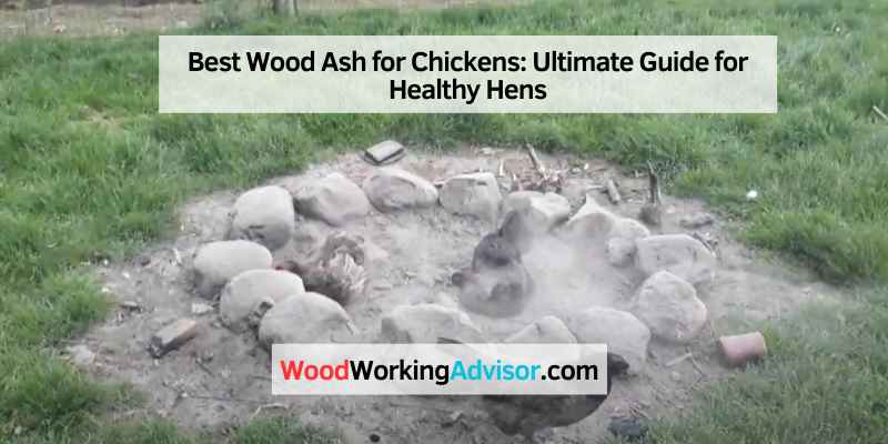 Best Wood Ash for Chickens