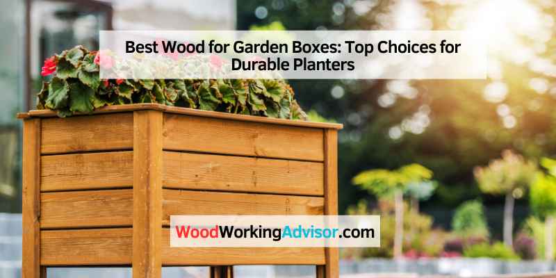 Best Wood for Garden Boxes