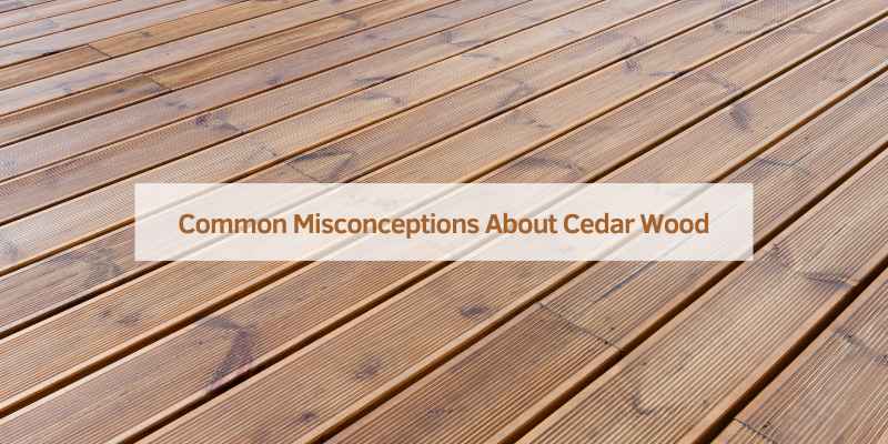 Can Cedar Wood Get Wet