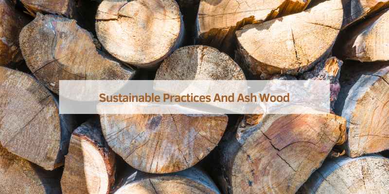 Sustainable Practices And Ash Wood