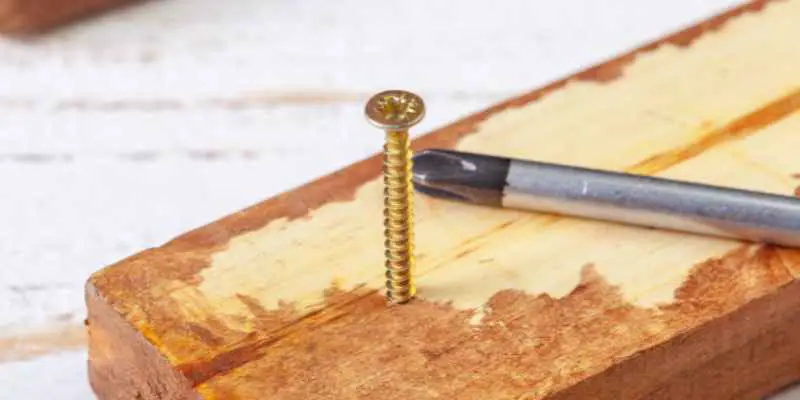 Can You Screw Into Wood Filler For Screws