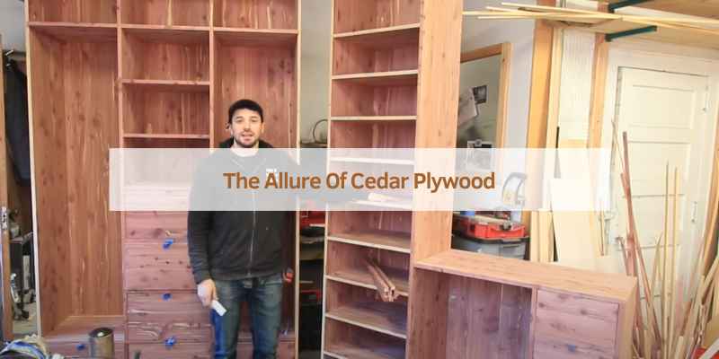 Cedar Plywood for Closets