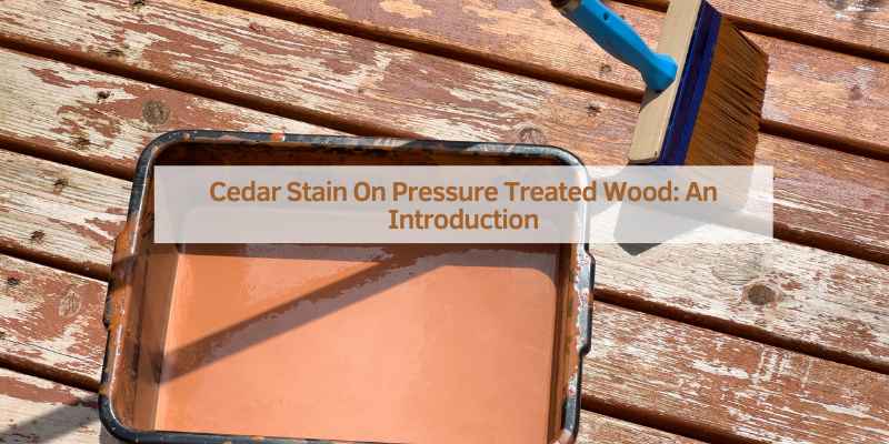 Cedar Stain On Pressure Treated Wood: An Introduction