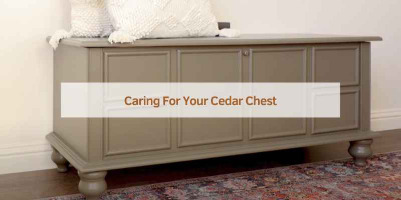 Cedar Wood Chest