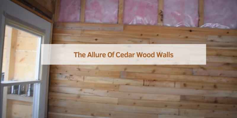 The Allure Of Cedar Wood Walls