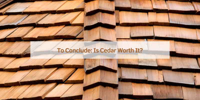 Disadvantages of Cedar