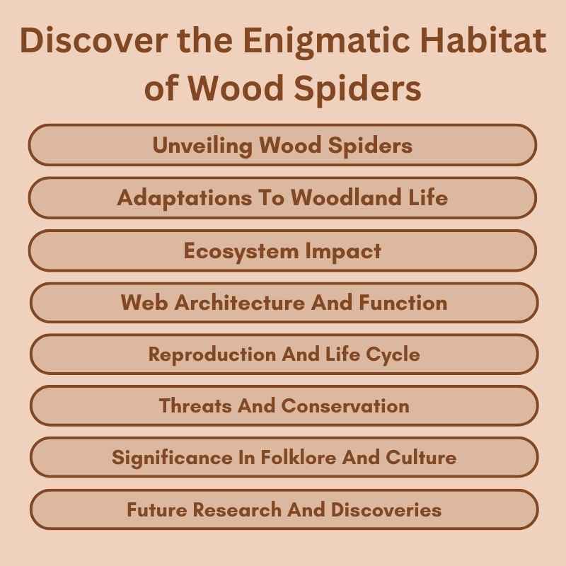 Discover the Enigmatic Habitat of Wood Spiders