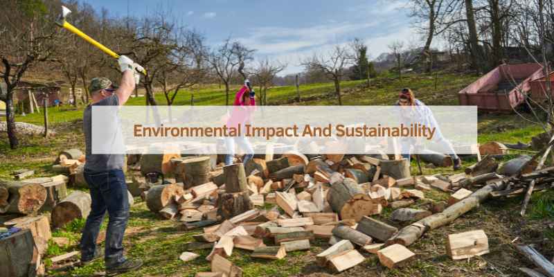 Environmental Impact And Sustainability