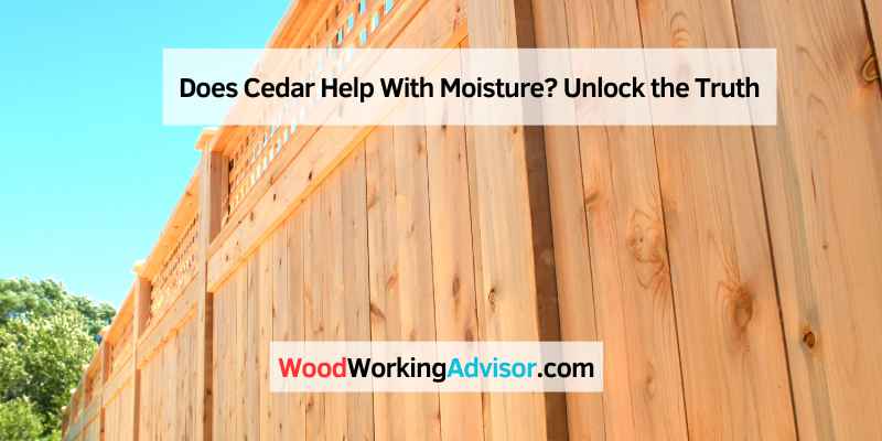 Does Cedar Help With Moisture