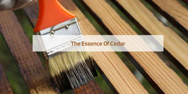 The Essence Of Cedar