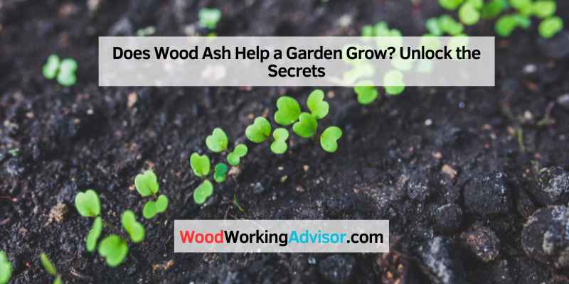 Does Wood Ash Help a Garden Grow