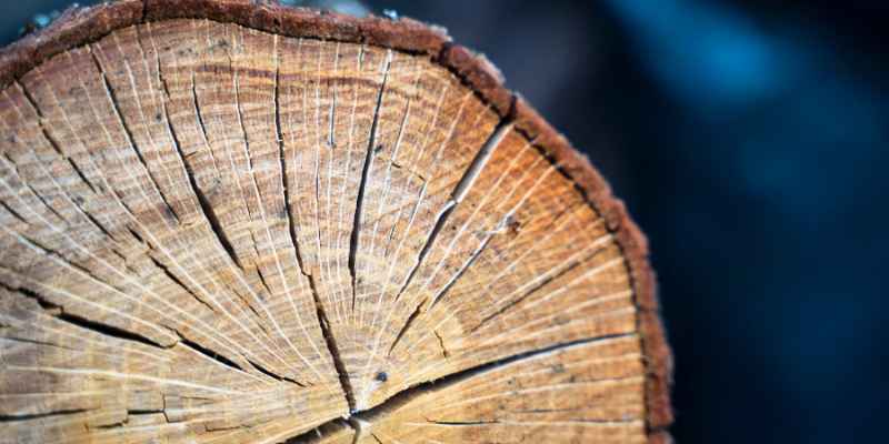Does Wood Expand in Cold or Heat? Expert Explains the Phenomenon!
