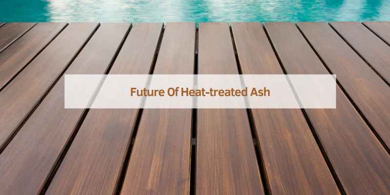 Future Of Heat-treated Ash