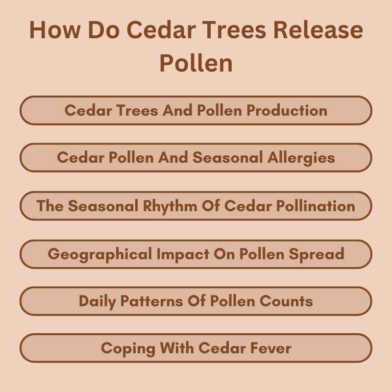 How Do Cedar Trees Release Pollen