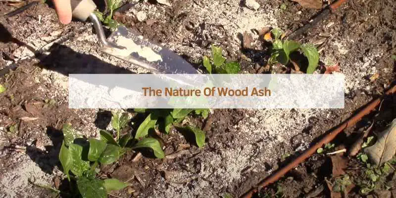 The Nature Of Wood Ash