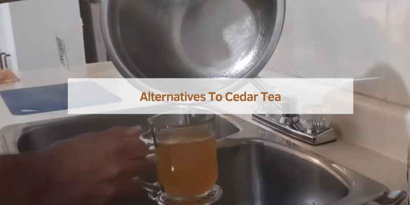 Alternatives To Cedar Tea