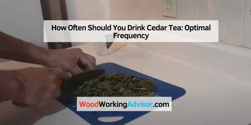 How Often Should You Drink Cedar Tea