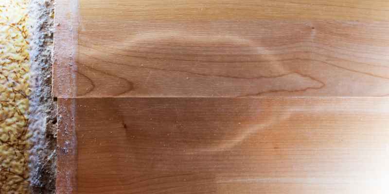 How To Draw Moisture Out Of Wood