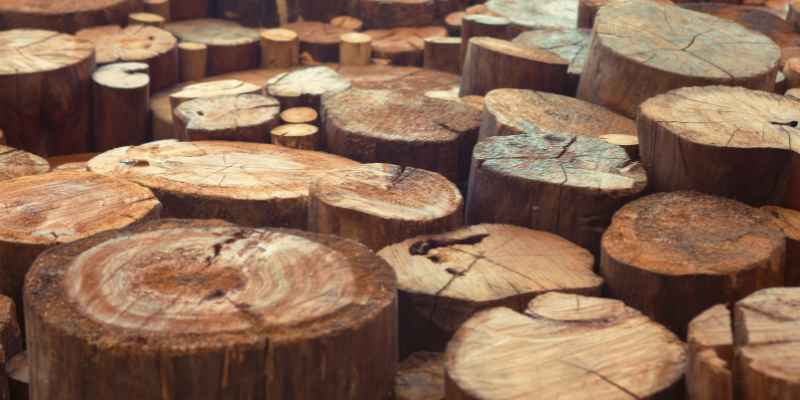 How To Easily Identify Teak Wood