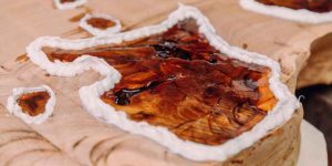 How To Fill Cracks In Wood With Epoxy: The Ultimate Step-by-Step Guide