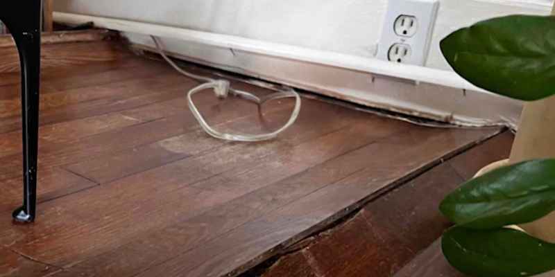 How To Fix Buckling Wood Floors Repair