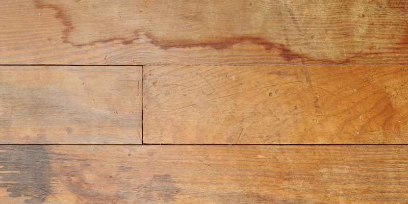 How to Eliminate Dog Urine Stain from Hardwood Floor
