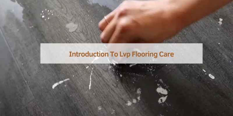 Introduction To Lvp Flooring Care