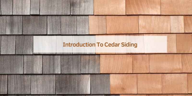 Introduction To Cedar Siding