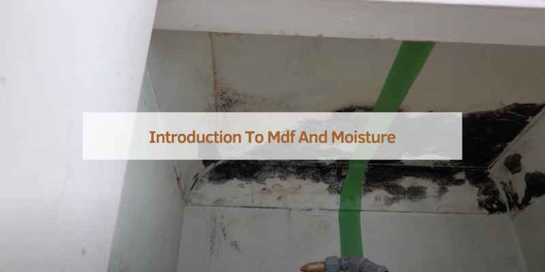 How to Stop MDF Shelves Going Mouldy: Expert Tips