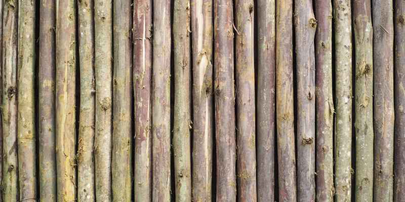 How to Treat Eucalyptus Wood