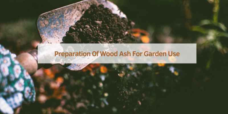 Preparation Of Wood Ash For Garden Use