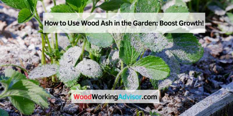 How to Use Wood Ash in the Garden