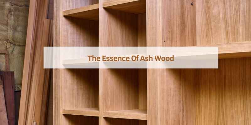 The Essence Of Ash Wood