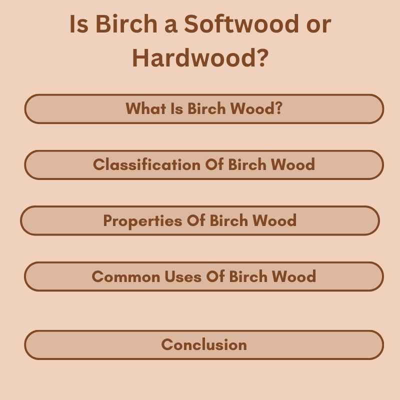 Is Birch a Softwood or Hardwood