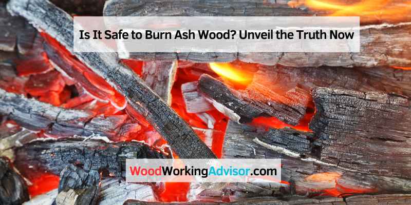 Is It Safe to Burn Ash Wood