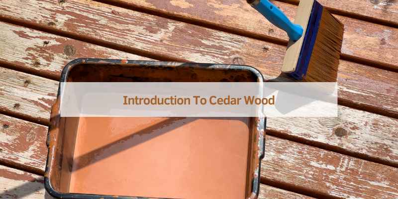 Should You Paint Cedar Wood