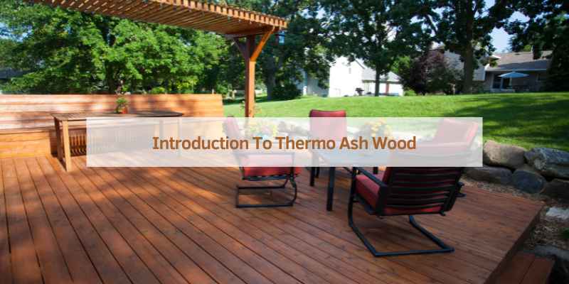 Introduction To Thermo Ash Wood