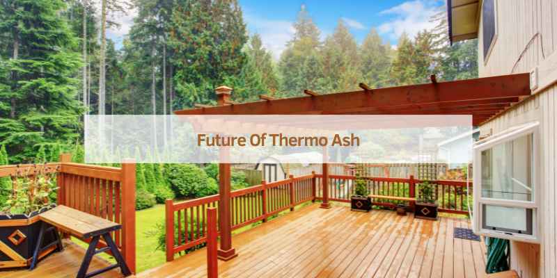 Future Of Thermo Ash