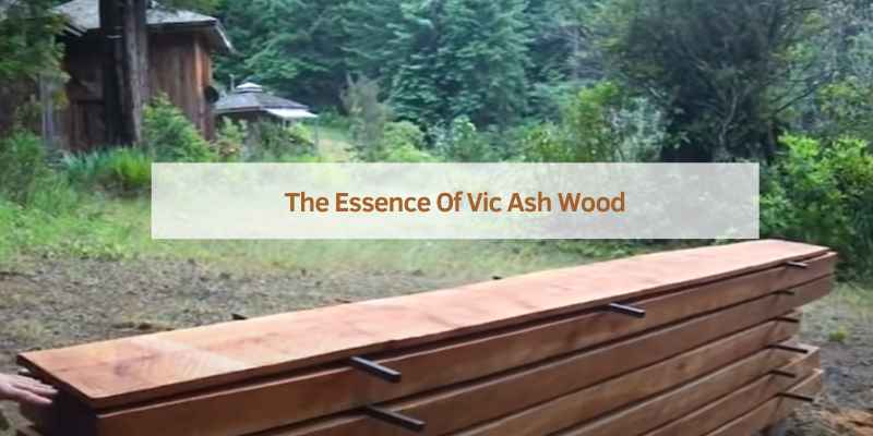 The Essence Of Vic Ash Wood