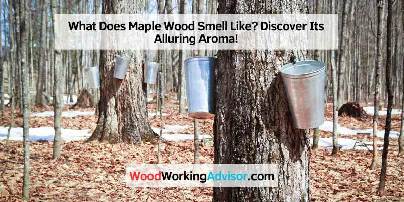 What Does Maple Wood Smell Like